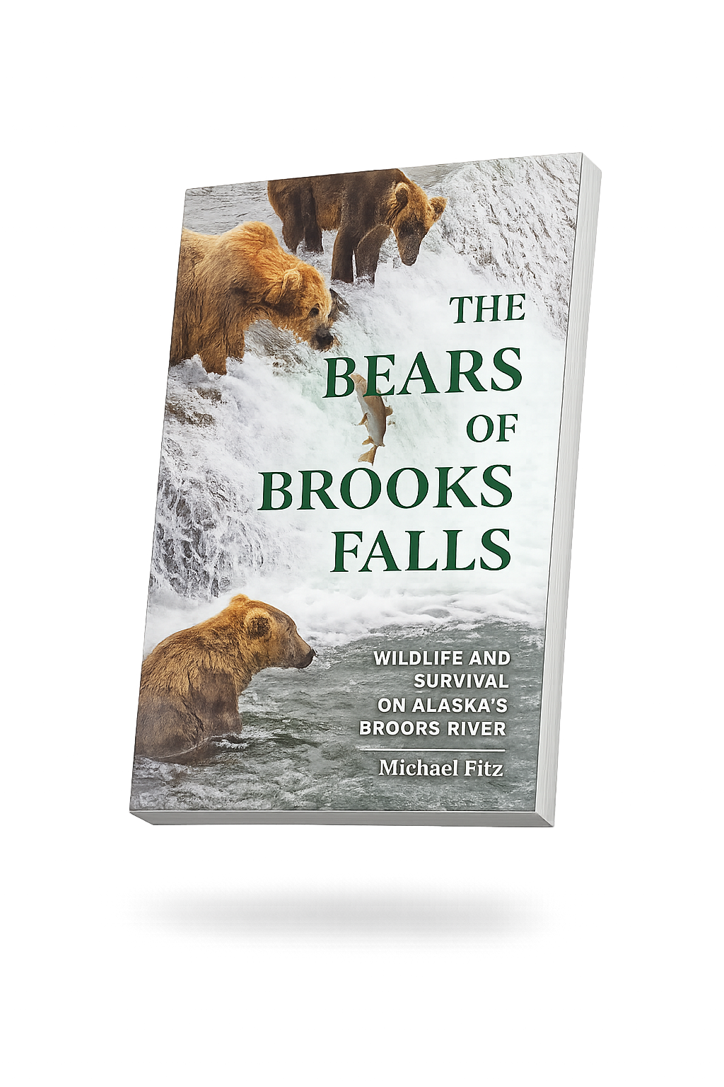 The Bears of Brooks Falls - Mike Fitz