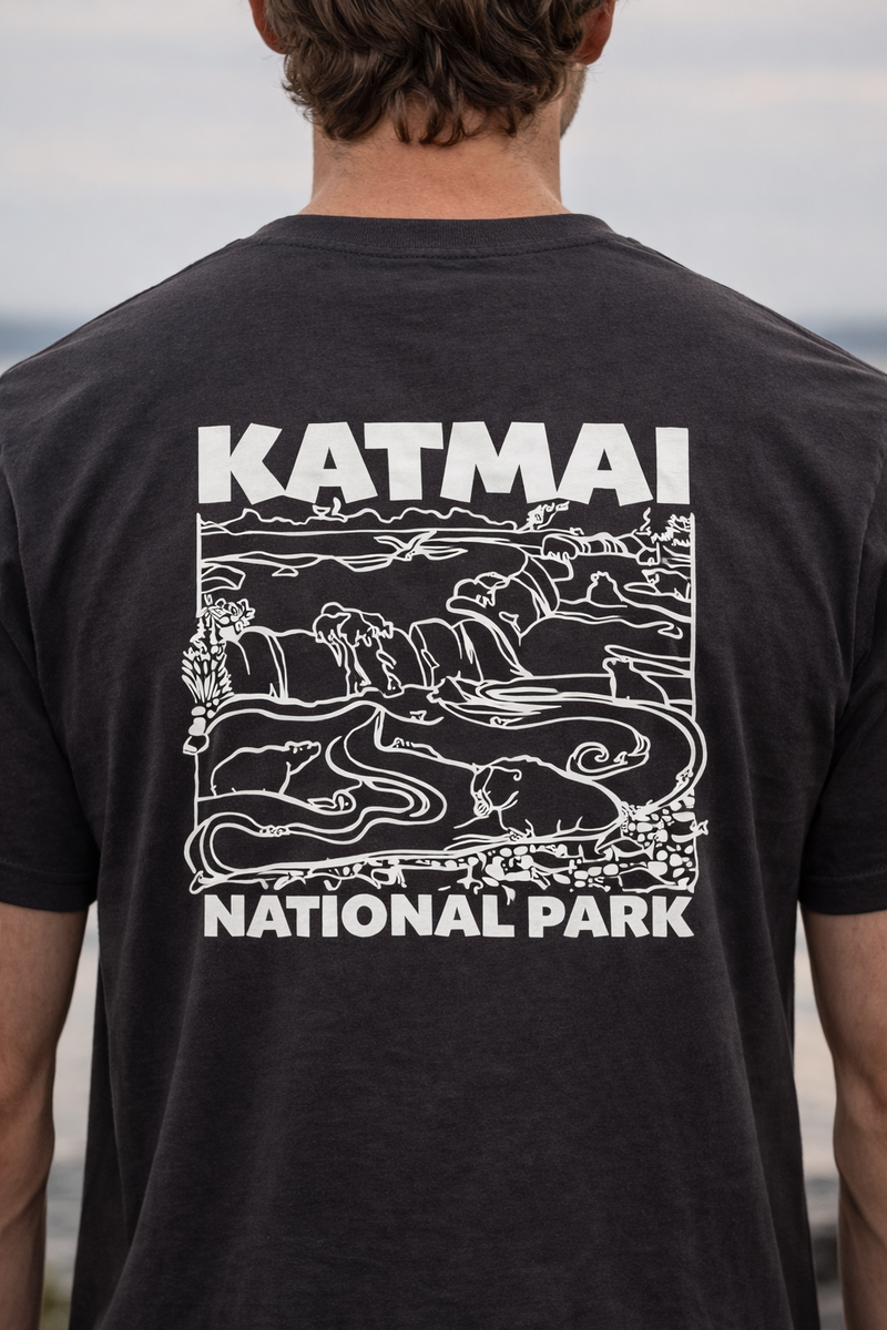 Katmai Brooks Falls Black T-shirt-4