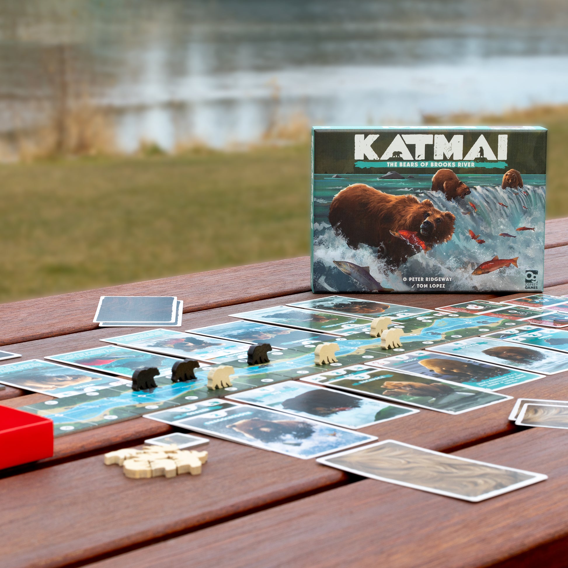 Katmai: The Bears Of Brooks River Board Game-5